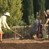 Garden Coaching - Image 5