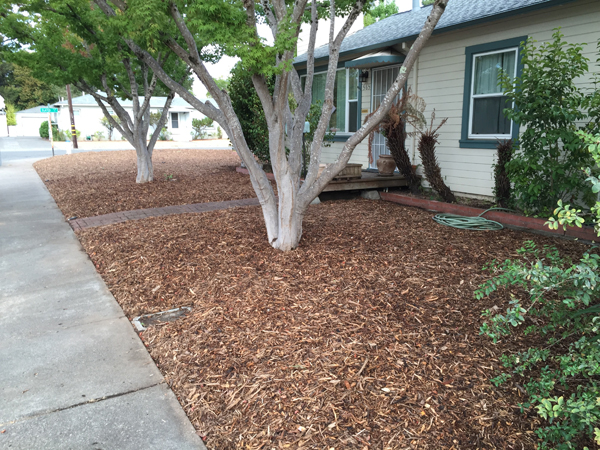 About Lawn Gone Mulch