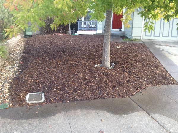 About Lawn Replacement Here We Gorw 1