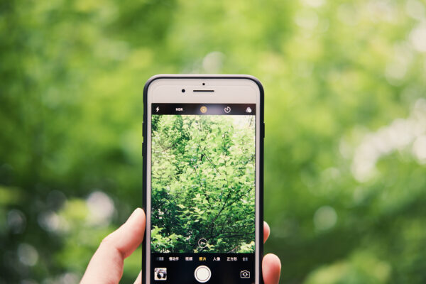 60 minute: Virtual Property Consultation