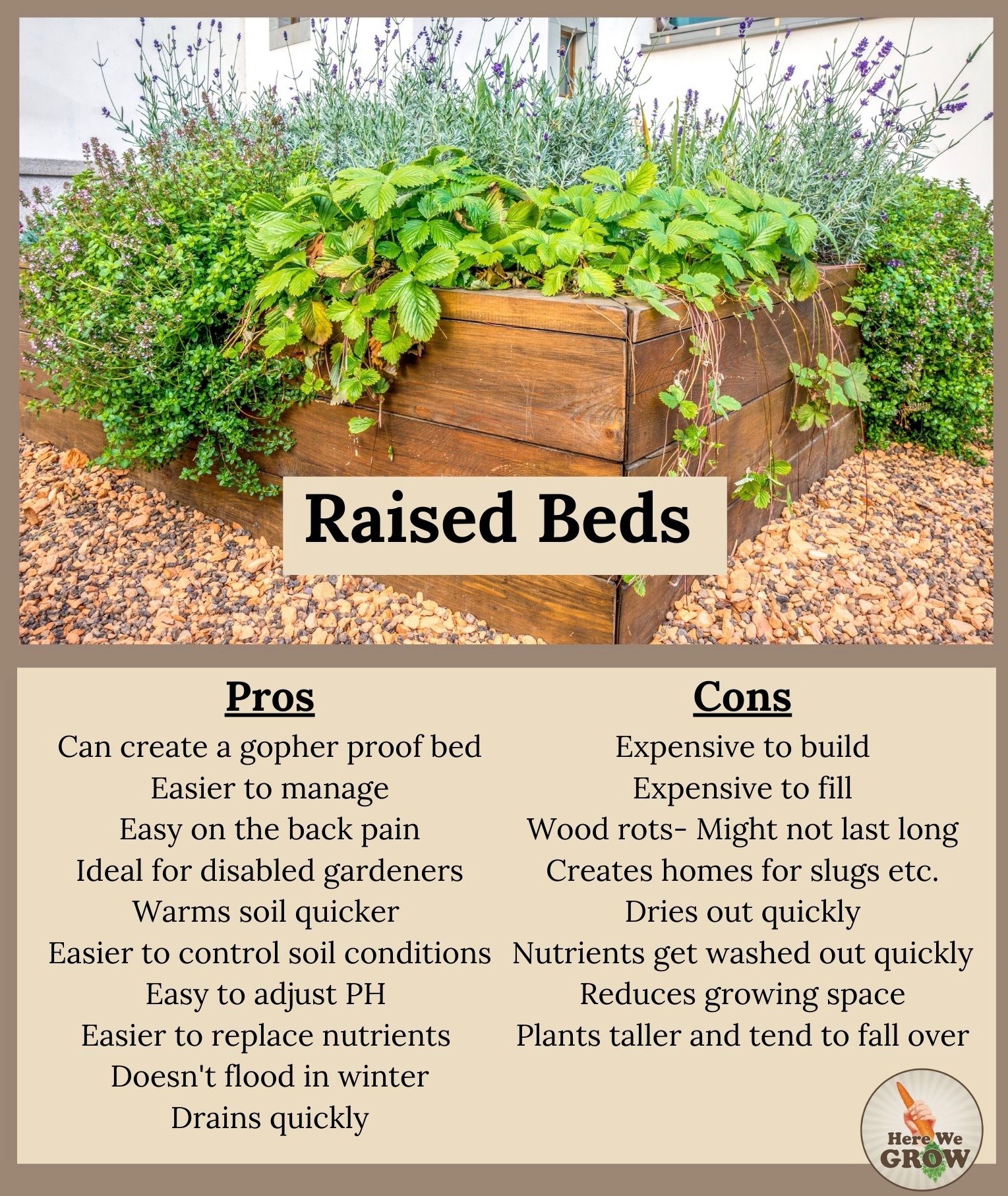 Raised Garden Beds vs. InGround Beds Pros & Cons Here We Grow