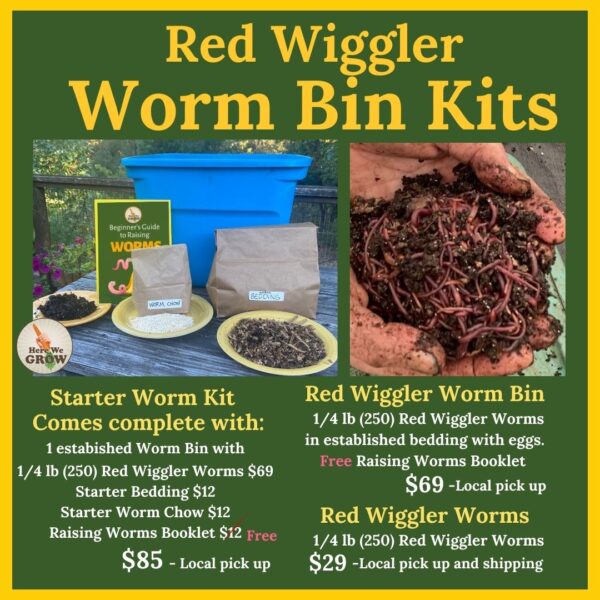 Red Wiggler Worms and Worm Bins - Image 2