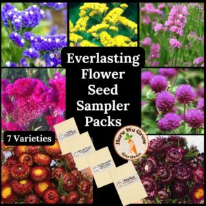 Everlasting Flower Seed Collection - 7 Sampler Packs - w/FREE Shipping