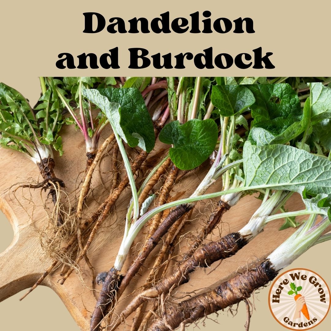 Detox Chai with Dandelion and Burdock - FREE shipping - Image 3