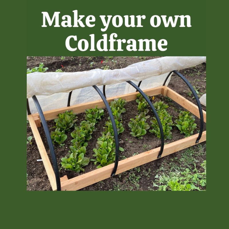 Make Your Own Portable Coldframe - Digital Download PDF file with video access - Image 5
