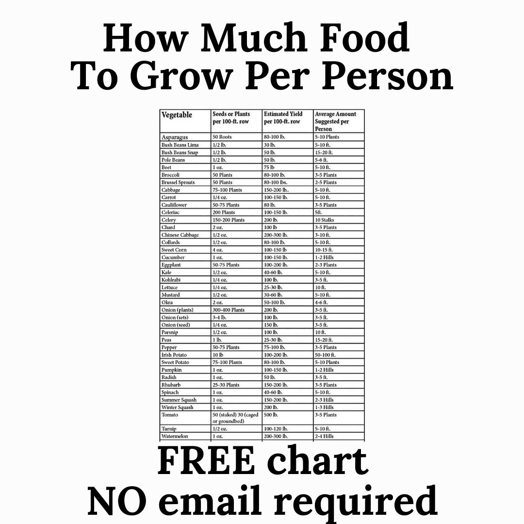 How Much Food To Plant? - FREE Download