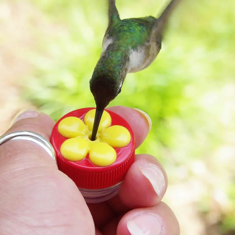Handheld Hummingbird Feeder - FREE Shipping - Image 2