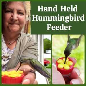 Handheld Hummingbird Feeder - FREE Shipping