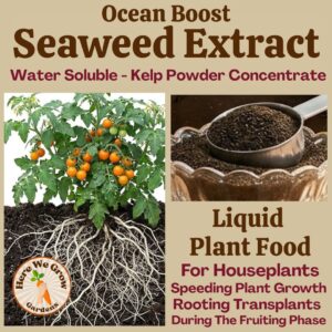 Seaweed Extract Powder- Organic Fertilizer- Foliar Feed & Soil Drench