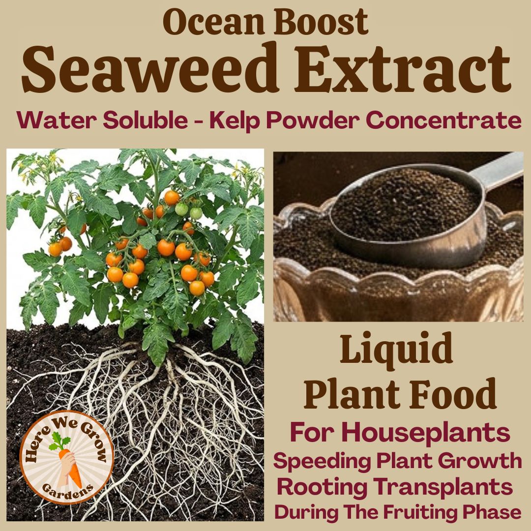 Seaweed Extract Powder- Organic Fertilizer- Foliar Feed & Soil Drench