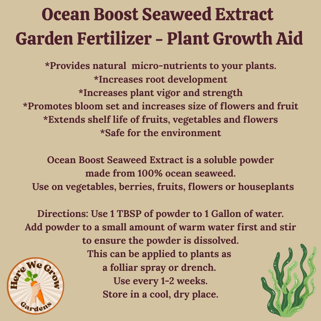 Seaweed Extract Powder- Organic Fertilizer- Foliar Feed & Soil Drench - Image 12