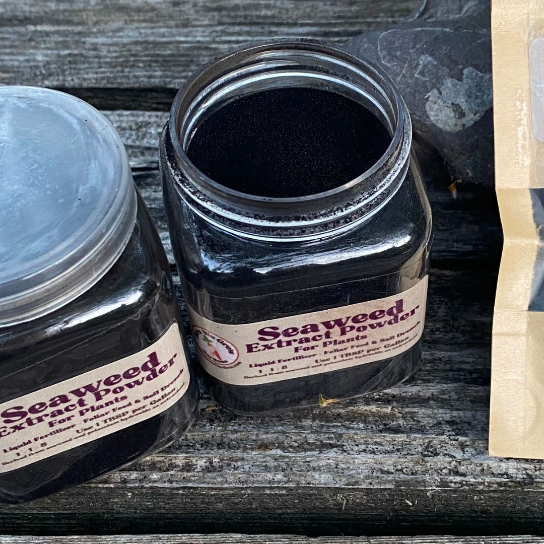 Seaweed Extract Powder- Organic Fertilizer- Foliar Feed & Soil Drench - Image 7
