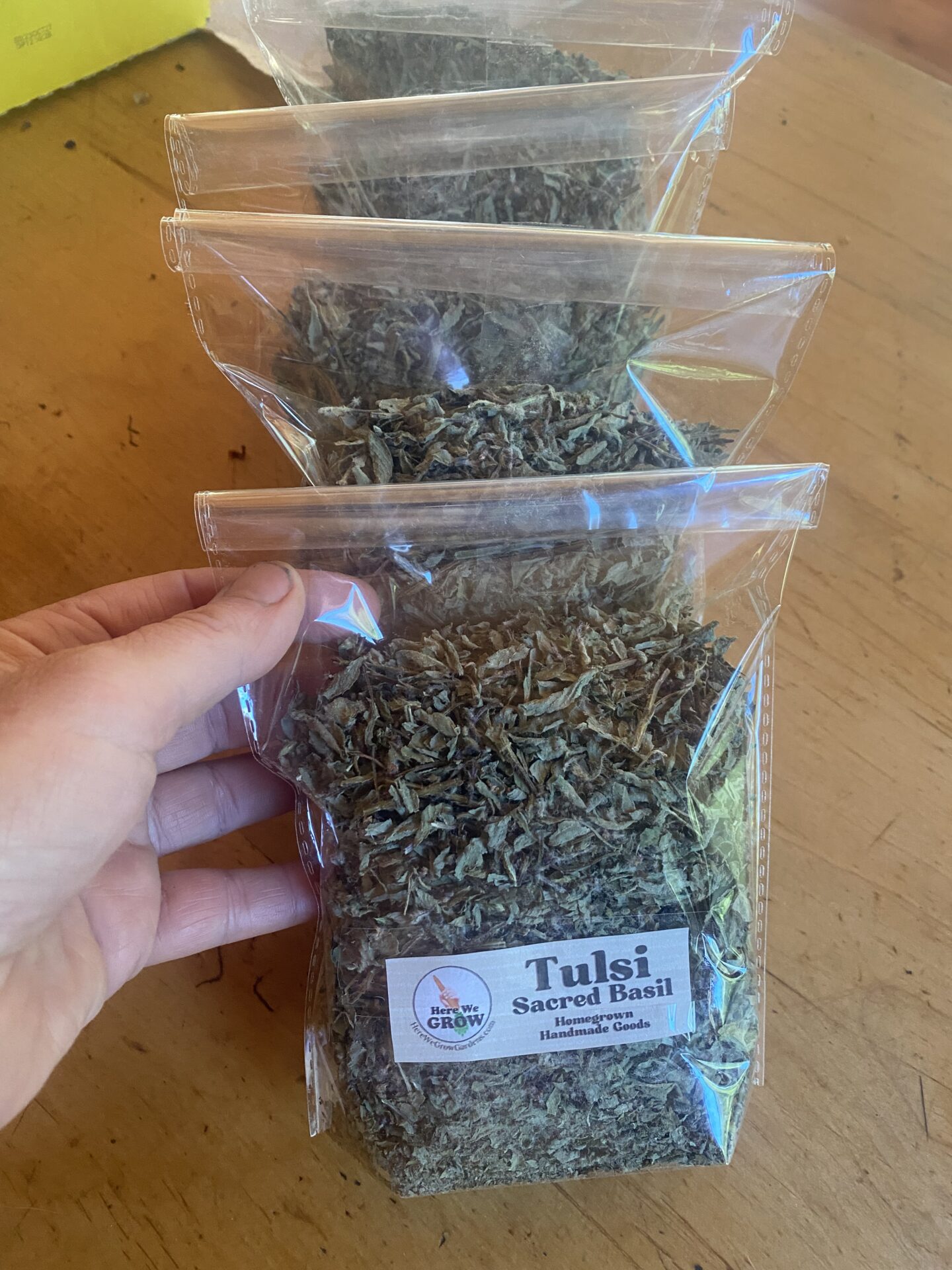 tulsi 2025 tusi herb